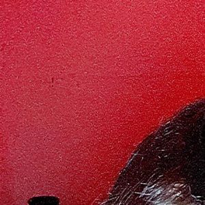 Meet your Posher, Lesieli